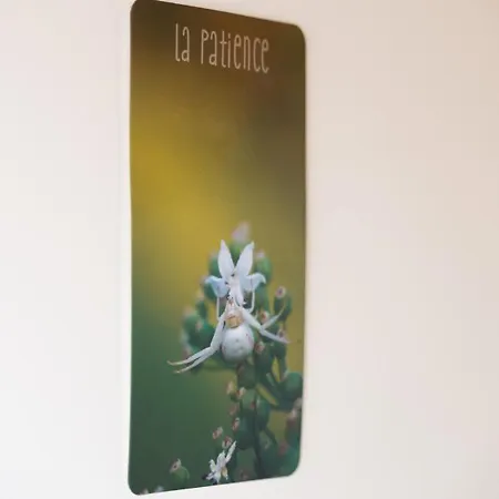 La Maison De Caroline *